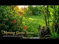 Morning Garden Serenity Peaceful Nature Sounds for Deep Sleep Relaxation Stress Relief