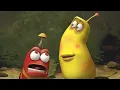 Download Lagu MUSHROOM! | LARVA | Cartoons for Kids | WildBrain - Kids TV Shows Full Episodes