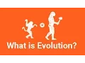 What is Evolution - Simply Explained