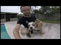 Day in the Life of a Pet Sitter 2