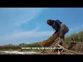 Download Lagu Biaya Apel Malam Mingguan