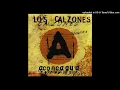LOS CALZONES - Te sigo.-   (Audio)