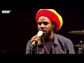 Chronixx majesty 