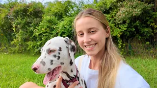 J’ADOPTE LE CHIEN DE MES RÊVES : 24H ENSEMBLE