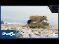 Farmers and ranchers in Pueblo County question Unified Development Code