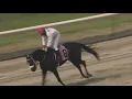 R1 Louisiana Downs USA 04 AUG 2026