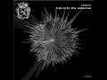 Hologram - Bedouin
