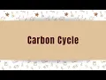 Carbon Cycle Revision GCSE Study Planner Target Teach Tutors