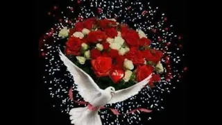 اصالحك  ومالو لطيفة دندنها