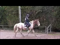 PTV Lea/Malcom Chilly Mazarin 20jan19