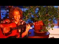 Cassandra Wilson - No Need To Run