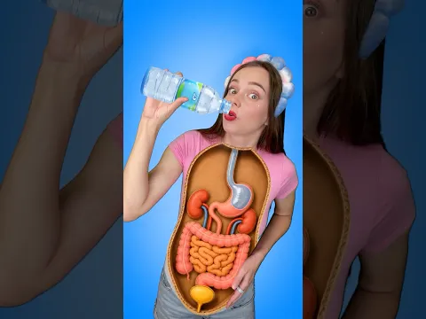 😲 Where Does Food Go Inside Your Body? | Kids Science #shorts