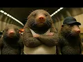Leave the Tunnels to the Moles
