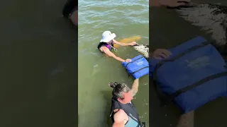 This Osprey Was Saved 