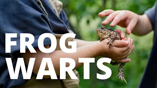 Warts Can Touching a Frog Toad or Their Pee Give You Warts