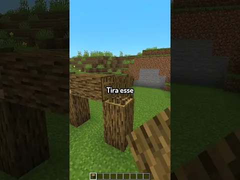 porta tipo garagem no minecraft