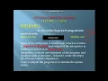 Language Translators Compiler Interpreter Assembler Source Code Object Code