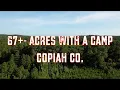 66 - Acres for Sale in Copiah County MS with Camp Loaded with Deer and Food Plots