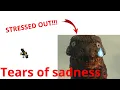 Watching youtube shorts scrolling