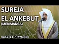 Download Lagu Sureja Ankebut (Merimanga) - Salih El Kurajshi