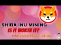 Is It Worth Mining Shiba Inu Calculated vs Current Hashrates