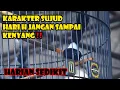 Download Lagu SETINGAN RENDAH JEMURNYA SEBENTAR 👉 FULL SUJUD BUKA PARUH 🔥