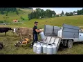 Download Lagu Stâna de vaci a lui Ciprian Duruian | Peste 650 litri de lapte pe zi | Vacile sunt mai profitabile