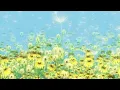 Flower Duet from Lakmé by Léo Delibes | 1 Hour Continuous Play