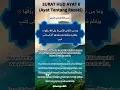 Al-Qur'an Surat Hud Ayat 6 (ayat tentang Rezeki) #shrots