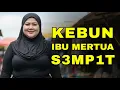 Download Lagu KISAH NYATA !! MENCANGKUL LAHAN IBU MERTUA YANG KASAT