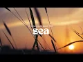 Chidiya Ohiagu | JESUS SPEAK (HELP MY UNBELIEF) FEAT. Xander Sallows & Joshua's Giants [LYRIC VIDEO]