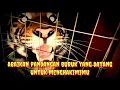 Download Lagu Story wa macan 30 detik