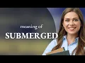 Submerged meaning of SUBMERGED