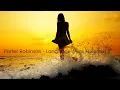 Porter Robinson - Language (Alex H Remix) [Free Download]