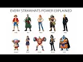 All Straw Hats and Their Powers Explained One Piece Every Straw Hat Crew Member