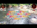 Download Lagu INSTRUMEN GITAR DENGAN SUARA AIR MENGALIR DAN KICAU BURUNG #PART2