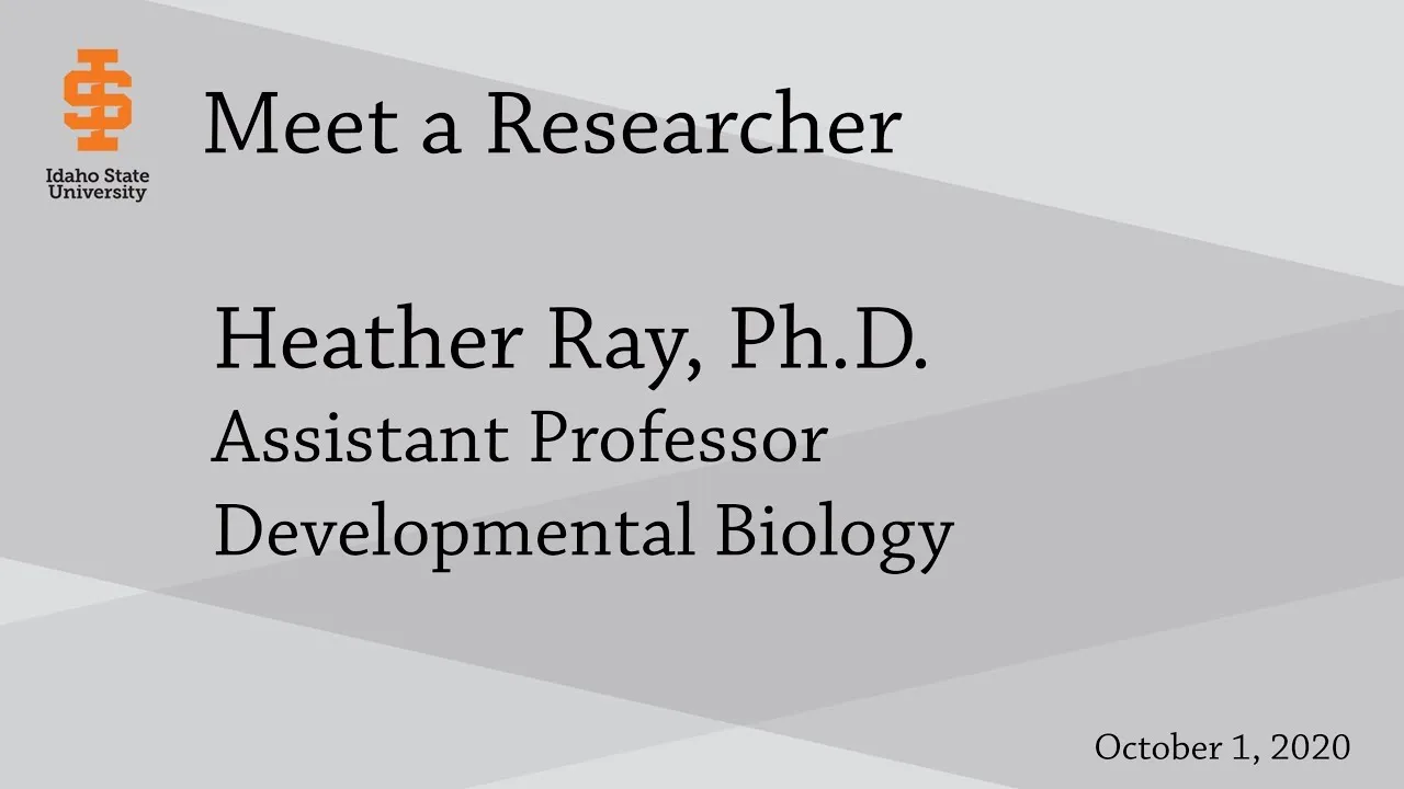 Heather Ray, Ph.D.
