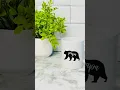 High Quality DIY Photo Backdrop from Dollar Tree