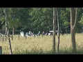 Geauga County plane crash kills 3 Report