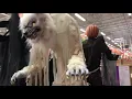 Giant Towering Werewolf - Home Depot Halloween 2019