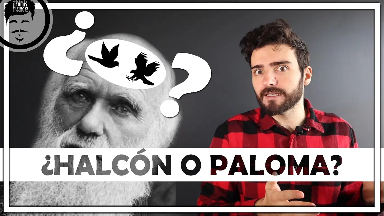 ¿Qué es el juego del halcón paloma? (Teoría de juegos) | Hawk Dove Game
