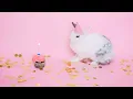 Adult Swim Bump Fanmade: Shigeto - Ann Arbor Part 3 & 4