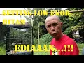Download Lagu Mastrip Kicau - Cara Setting Murai Batu Nias Ala Dapur Mastrip