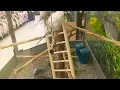 petco Glendale C A
