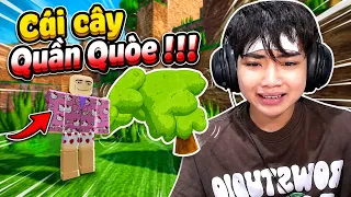 Đừng Lại Gần " CÁI CÂY QUẦN QUÒE NÀY ! " ....
