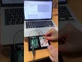 Serial Connection between Arduino and P5js - wind gravity example