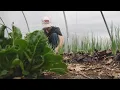 USDA budget cuts impacting groups in the Ozarks like Springfield Community Gardens