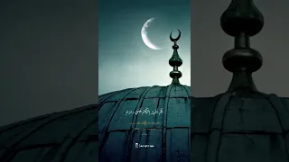 من سورة يس السيد متولي حالات واتس حالات اسلامية قرآن قران كريم Quran 