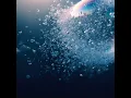 GAUZE - DUSTCELL