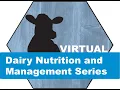 Nehme Marinho - Selecting for Feed Efficiency